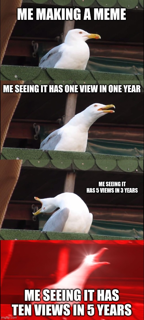 Inhaling Seagull | ME MAKING A MEME; ME SEEING IT HAS ONE VIEW IN ONE YEAR; ME SEEING IT HAS 5 VIEWS IN 3 YEARS; ME SEEING IT HAS TEN VIEWS IN 5 YEARS | image tagged in memes,inhaling seagull | made w/ Imgflip meme maker