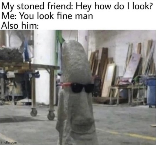 he's a stone get it get it get it | image tagged in stoner | made w/ Imgflip meme maker