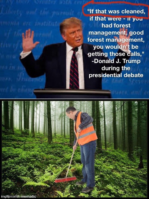 lmao just clean the forest | image tagged in donald trump,forest fire | made w/ Imgflip meme maker