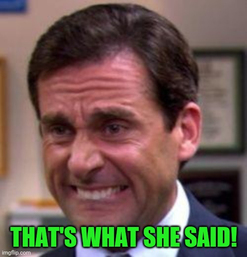 Michael Scott | THAT'S WHAT SHE SAID! | image tagged in michael scott | made w/ Imgflip meme maker