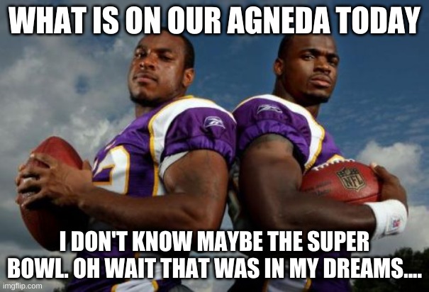 Vikings cant play football | WHAT IS ON OUR AGNEDA TODAY; I DON'T KNOW MAYBE THE SUPER BOWL. OH WAIT THAT WAS IN MY DREAMS.... | image tagged in viking dudes | made w/ Imgflip meme maker