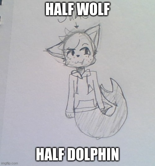 This is Jake | HALF WOLF; HALF DOLPHIN | made w/ Imgflip meme maker