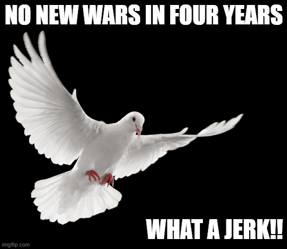No New Wars |  NO NEW WARS IN FOUR YEARS; WHAT A JERK!! | image tagged in peace dove,donald trump,peace,middle east | made w/ Imgflip meme maker