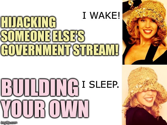 Why run for someone else's government when you can build your own? | HIJACKING SOMEONE ELSE’S GOVERNMENT STREAM! BUILDING YOUR OWN | image tagged in kylie i wake/i sleep | made w/ Imgflip meme maker