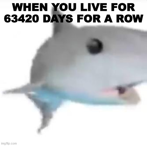 shark pog |  WHEN YOU LIVE FOR 63420 DAYS FOR A ROW | image tagged in shark pog | made w/ Imgflip meme maker