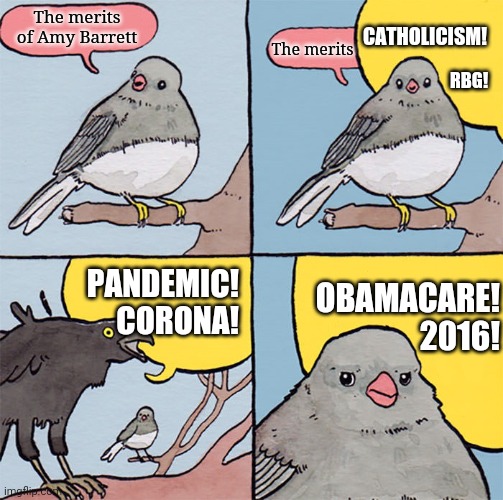 confirmation, day one | CATHOLICISM! The merits of Amy Barrett; The merits; RBG! OBAMACARE!
2016! PANDEMIC!
CORONA! | image tagged in interrupting bird,liberals,scotus | made w/ Imgflip meme maker