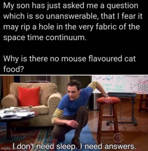 Why is there no mouse flavored cat food? | image tagged in memes,sheldon cooper,cat,mouse,food,kids | made w/ Imgflip meme maker