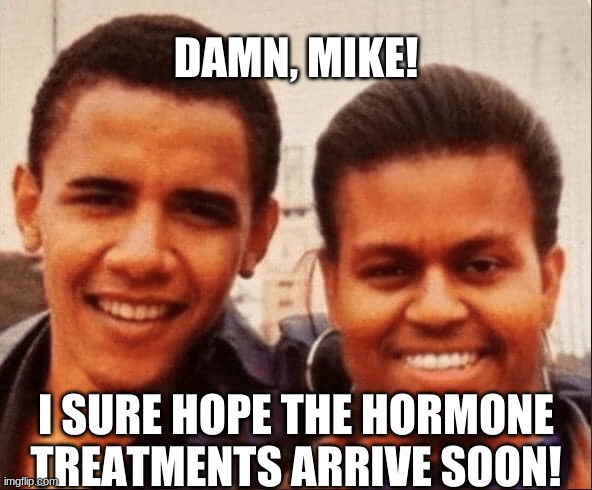 Big Mike | DAMN, MIKE! I SURE HOPE THE HORMONE TREATMENTS ARRIVE SOON! | image tagged in my little pony | made w/ Imgflip meme maker