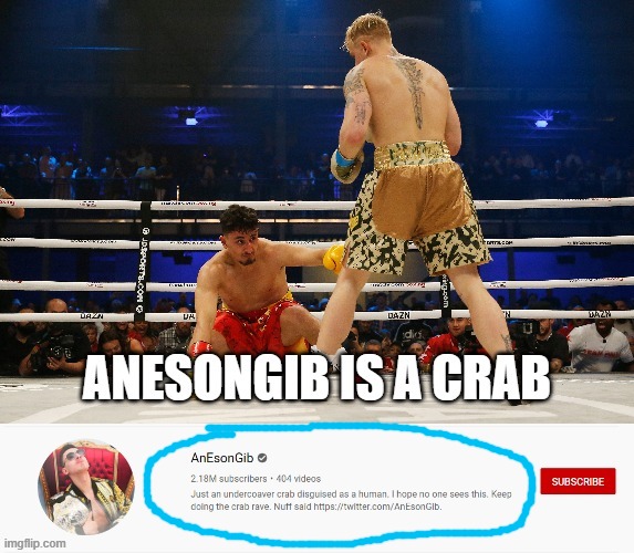 AnEsonGib Is An Undercover Crab Disguised As A Human | image tagged in conspiracy,crab rave,anesongib,7figuregibber,jake paul vs anesongib,boxing | made w/ Imgflip meme maker
