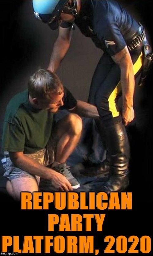 They've brilliantly repackaged bootlicking as something other than bootlicking | image tagged in republican party platform 2020 | made w/ Imgflip meme maker