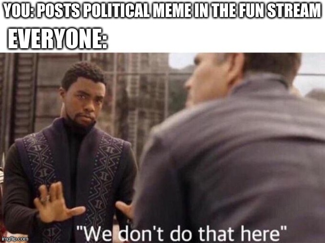 We dont do that here | YOU: POSTS POLITICAL MEME IN THE FUN STREAM EVERYONE: | image tagged in we dont do that here | made w/ Imgflip meme maker