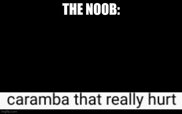 White Screen | THE NOOB: | image tagged in white screen | made w/ Imgflip meme maker