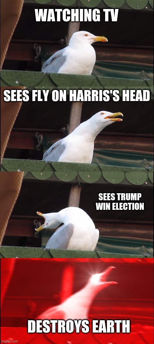 Inhaling Seagull Meme | WATCHING TV; SEES FLY ON HARRIS'S HEAD; SEES TRUMP WIN ELECTION; DESTROYS EARTH | image tagged in memes,inhaling seagull | made w/ Imgflip meme maker