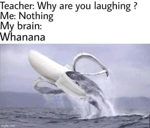 WHANANA! | image tagged in whales,banana | made w/ Imgflip meme maker
