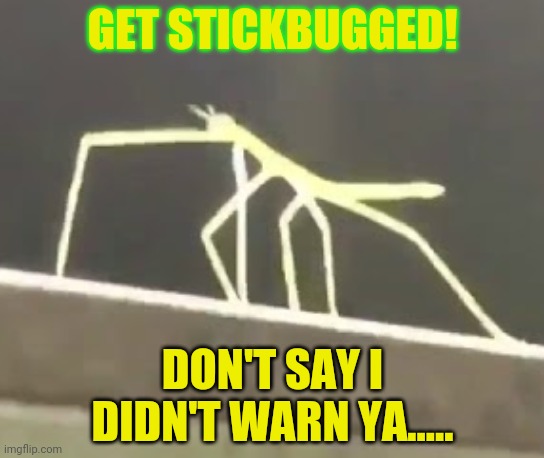 Get Stickbugged LOL | GET STICKBUGGED! DON'T SAY I DIDN'T WARN YA..... | image tagged in get stickbugged lol | made w/ Imgflip meme maker