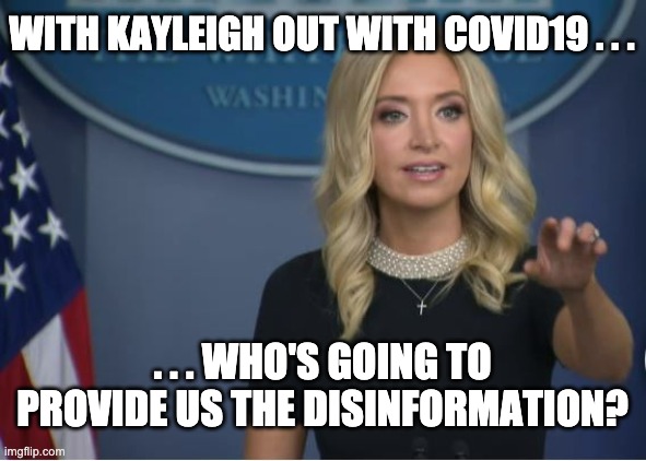 I'll be out of the office . . . | WITH KAYLEIGH OUT WITH COVID19 . . . . . . WHO'S GOING TO PROVIDE US THE DISINFORMATION? | image tagged in kayleigh mcenany,covid,covid19,trump,election,white house | made w/ Imgflip meme maker