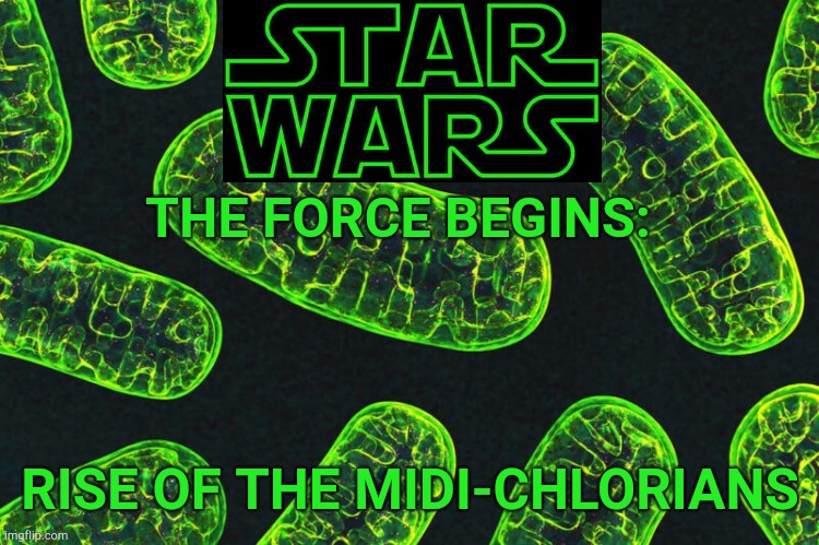 The Force Begins | THE FORCE BEGINS:; RISE OF THE MIDI-CHLORIANS | made w/ Imgflip meme maker