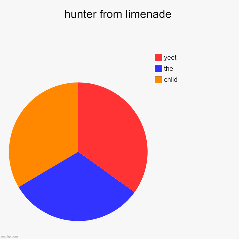 hunter from limenade | child, the , yeet | image tagged in charts,pie charts | made w/ Imgflip chart maker