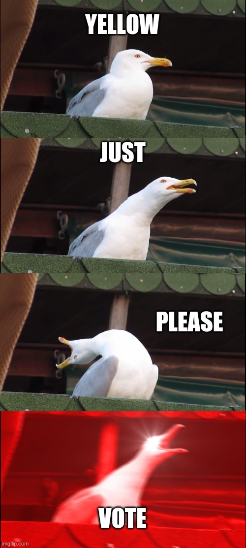 when yellow dose not vote | YELLOW; JUST; PLEASE; VOTE | image tagged in memes,inhaling seagull | made w/ Imgflip meme maker