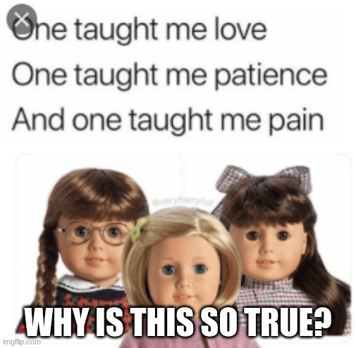 Ari Dolls | WHY IS THIS SO TRUE? | image tagged in ariana grande | made w/ Imgflip meme maker