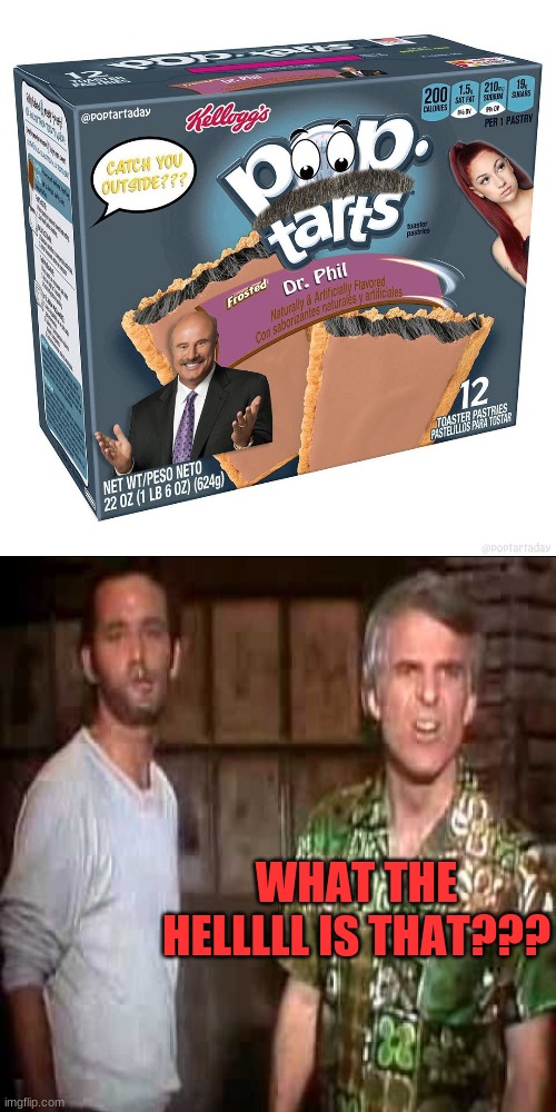 Dr. Phil Tarts??? What the hellllllllll... | WHAT THE HELLLLL IS THAT??? | image tagged in phil tarts,what the hell is that,poptarts,snl,dr phil | made w/ Imgflip meme maker