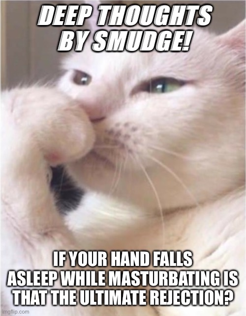 Smudge Imgflip
