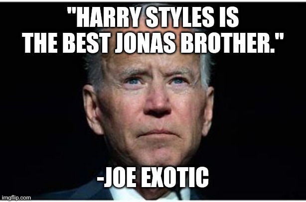  "HARRY STYLES IS THE BEST JONAS BROTHER."; -JOE EXOTIC | image tagged in joe biden | made w/ Imgflip meme maker