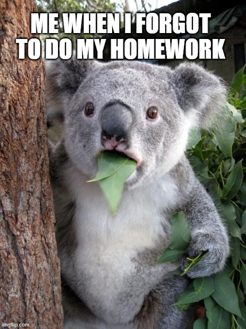 Surprised Koala Meme | ME WHEN I FORGOT TO DO MY HOMEWORK | image tagged in surprised koala | made w/ Imgflip meme maker