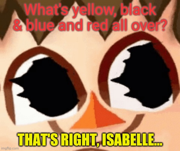 What's yellow, black & blue and red all over? THAT'S RIGHT, ISABELLE... | made w/ Imgflip meme maker