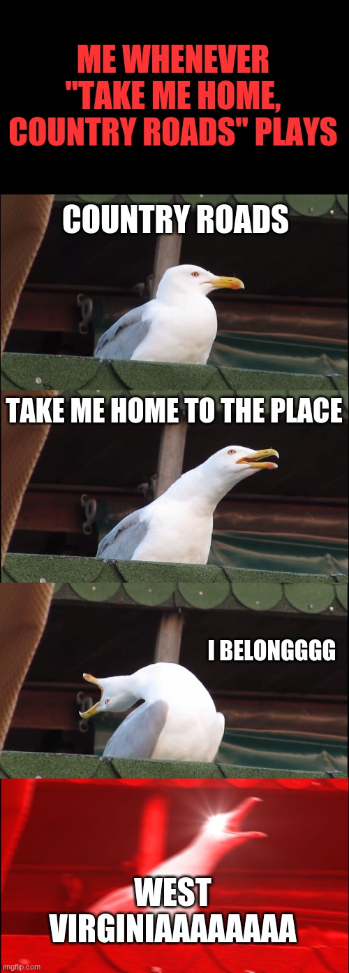 ♪ TAKE ME HOME, COUNTRY ROADSSSSS ♪ | ME WHENEVER "TAKE ME HOME, COUNTRY ROADS" PLAYS; COUNTRY ROADS; TAKE ME HOME TO THE PLACE; I BELONGGGG; WEST VIRGINIAAAAAAAA | image tagged in memes,inhaling seagull,take me home country roads,songs | made w/ Imgflip meme maker