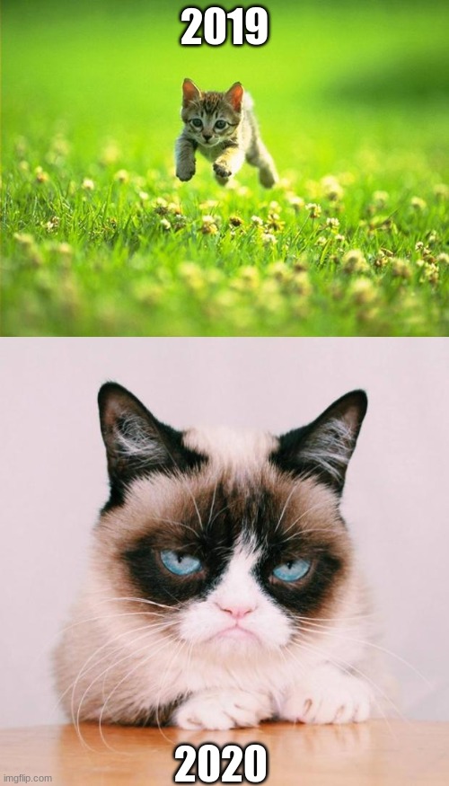 There was a time when little cats were happy | 2019; 2020 | image tagged in every time i smile god kills a kitten,grumpy cat again | made w/ Imgflip meme maker