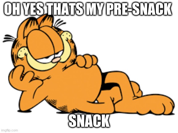 Garfield | OH YES THATS MY PRE-SNACK SNACK | image tagged in garfield | made w/ Imgflip meme maker