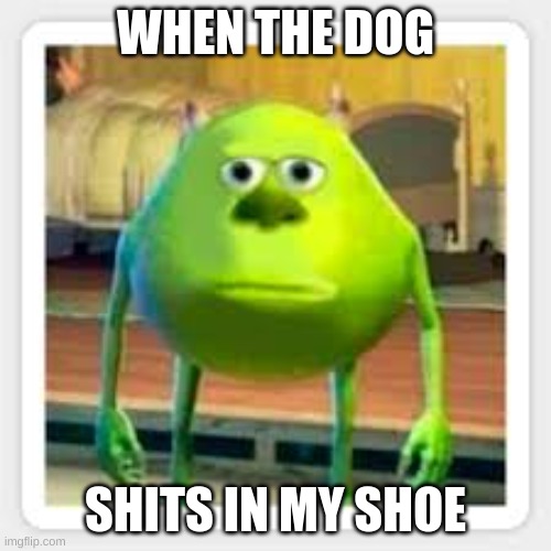 Mike | WHEN THE DOG; SHITS IN MY SHOE | image tagged in mike | made w/ Imgflip meme maker