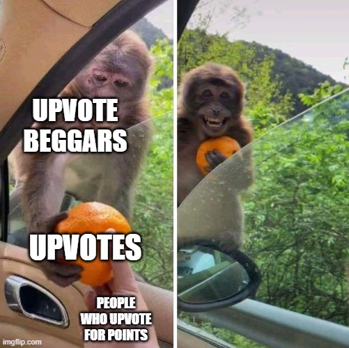 Thats one happy upvote beggar | UPVOTE BEGGARS; UPVOTES; PEOPLE WHO UPVOTE FOR POINTS | image tagged in monkey getting an orange | made w/ Imgflip meme maker