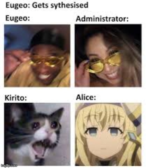 Eugeo | image tagged in sao | made w/ Imgflip meme maker