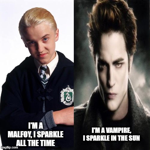 Which One Is Better | I'M A MALFOY, I SPARKLE ALL THE TIME; I'M A VAMPIRE, I SPARKLE IN THE SUN | image tagged in funny memes | made w/ Imgflip meme maker