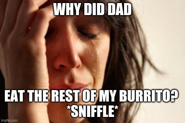 First World Problems | WHY DID DAD; EAT THE REST OF MY BURRITO? 
*SNIFFLE* | image tagged in memes,first world problems | made w/ Imgflip meme maker