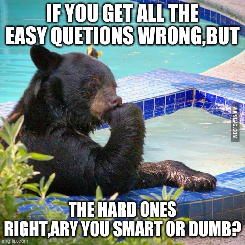 Philosophy bear | IF YOU GET ALL THE EASY QUETIONS WRONG,BUT; THE HARD ONES RIGHT,ARY YOU SMART OR DUMB? | image tagged in philosophy bear | made w/ Imgflip meme maker