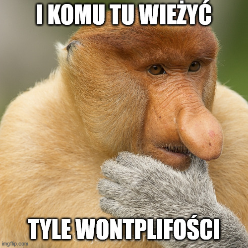 nosacz | I KOMU TU WIEŻYĆ; TYLE WONTPLIFOŚCI | image tagged in nosacz | made w/ Imgflip meme maker