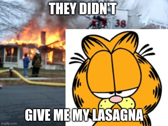 lasagna | THEY DIDN'T; GIVE ME MY LASAGNA | image tagged in cats | made w/ Imgflip meme maker