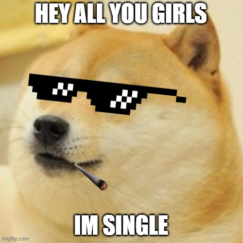 wow doge | HEY ALL YOU GIRLS; IM SINGLE | image tagged in wow doge | made w/ Imgflip meme maker
