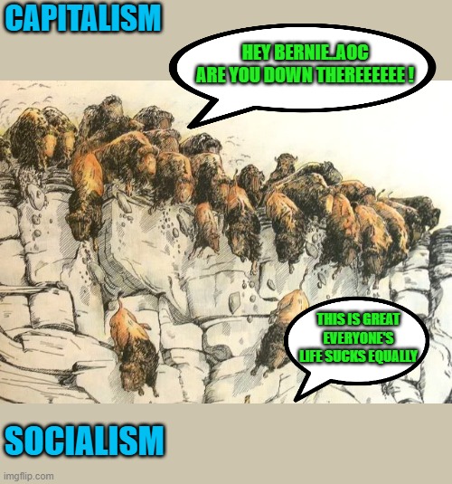 Follow the herd by all means | CAPITALISM; HEY BERNIE..AOC ARE YOU DOWN THEREEEEEE ! THIS IS GREAT EVERYONE'S LIFE SUCKS EQUALLY; SOCIALISM | image tagged in democrats,communism,joe biden,2020 elections | made w/ Imgflip meme maker