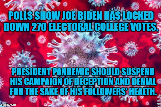 Denial, Death And Donnie Covidseed. | POLLS SHOW JOE BIDEN HAS LOCKED DOWN 270 ELECTORAL COLLEGE VOTES. PRESIDENT PANDEMIC SHOULD SUSPEND HIS CAMPAIGN OF DECEPTION AND DENIAL FOR THE SAKE OF HIS FOLLOWERS' HEALTH. | image tagged in politics | made w/ Imgflip meme maker