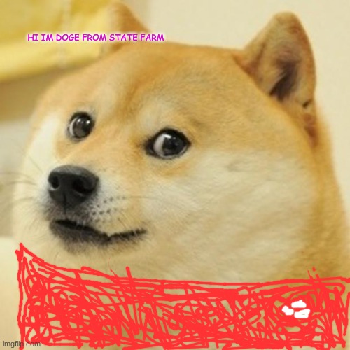 Doge | HI IM DOGE FROM STATE FARM | image tagged in memes,doge | made w/ Imgflip meme maker