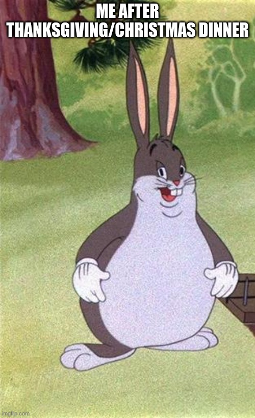 Big Chungus | ME AFTER THANKSGIVING/CHRISTMAS DINNER | image tagged in big chungus | made w/ Imgflip meme maker