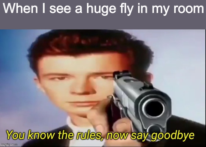 I’m running out of ideas :( | When I see a huge fly in my room | image tagged in rickroll | made w/ Imgflip meme maker