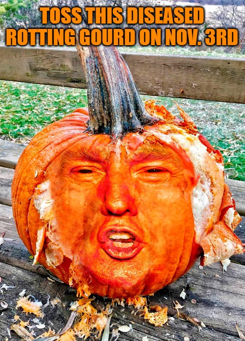 Rotting Trumpkin | TOSS THIS DISEASED ROTTING GOURD ON NOV. 3RD | image tagged in trumpkin,dump trump,rotting,diseased,covid19,election 2020 | made w/ Imgflip meme maker