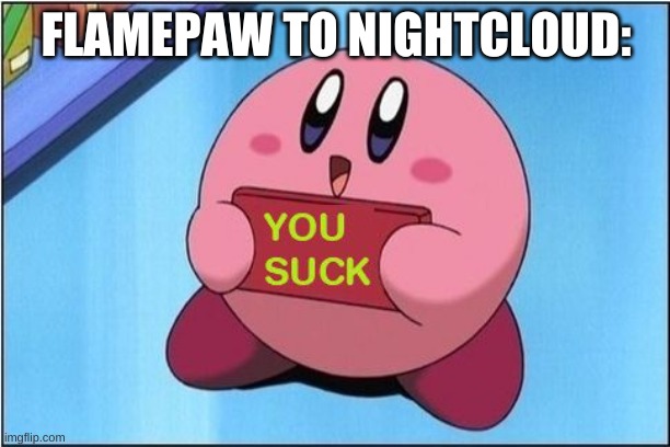 Kirby says You Suck | FLAMEPAW TO NIGHTCLOUD: | image tagged in kirby says you suck | made w/ Imgflip meme maker
