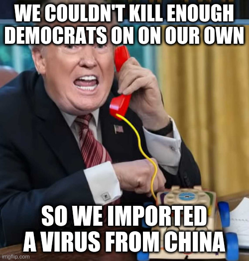 I'm the president | WE COULDN'T KILL ENOUGH DEMOCRATS ON ON OUR OWN; SO WE IMPORTED A VIRUS FROM CHINA | image tagged in i'm the president | made w/ Imgflip meme maker