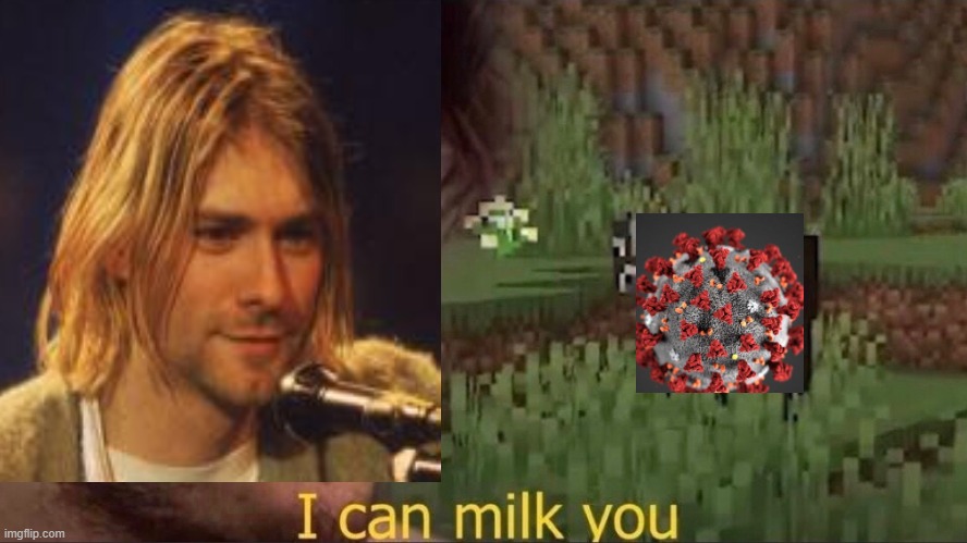 Kurt Cobain | image tagged in i can milk you template,nirvana,kurt cobain | made w/ Imgflip meme maker